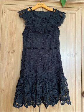 Black Floral Crochet Lace Fit & Flare Dress L EUC